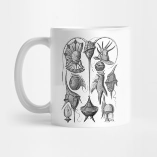 Ernst Haeckel Peridinea Algae Black & White Mug